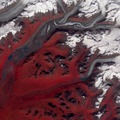 アラスカのサスティーナ氷河（c）NASA