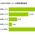 スマートフォン以外に所有している携帯電話端末