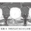 写真 4 TMをFLAで光らせた状態