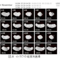 図.8 イトカワの経度別画像