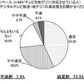 地デジ放送の満足度