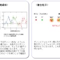 新しい量子状態