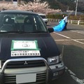 支援車両として活用されている中古車