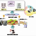 塩害を受けた農地への観測センサーの設置イメージ