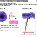 「みんなの花図鑑 vol.1」花の詳細ページイメージ