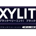 キシリトールガム ブラックベリーミント商品