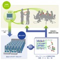 「ビジネス顕微鏡」を用いたソリューションの概要