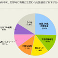 住まいに関する設備の中で、災害時有効なものは何だと思うか?