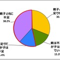 あなたとお子様の食物繊維の摂取量に関して、以下のいずれにあてはまると思いますか？ より近いと思うものをお答えください。