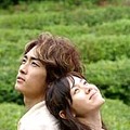 ユン・ソクホ監督の韓国ドラマ・季節恋愛シリーズ第3弾「夏の香り」が早くもAIIに登場