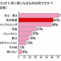 あなたが2月に気になるものは何ですか？