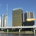 隅田公園から見た東京スカイツリー