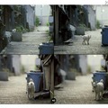 「ちょっとネコぼけ」for iPad