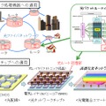 将来の応用イメージ