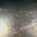 1層目被覆後の海底の様子（2月29日） 