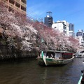 横浜市の大岡川