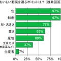 おいしい野菜を選ぶポイントは？