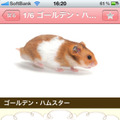 気分はシートン！？ スマホアプリ「かわいい小動物図鑑」が登場 