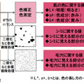 測定項目