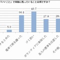 女子中高生がこの一年間でした「いいこと」