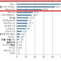 ポケット・バックなどに携帯している「キラキラデコアイテム」はなんですか？（N=309）