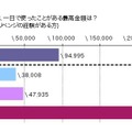 散在リベンジの1日の最高使用金額