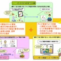 ひかり電話のテレビ電話の利用イメージ