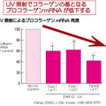 紫外線の影響