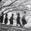 「二十四の瞳」  監督：木下惠介　(c)1954 松竹株式会社