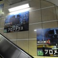 人類の起源は東京の表参道?!