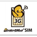 「ServersMan SIM 3G 100」ロゴ