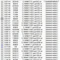 漏洩した可能性のあるデータ