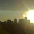 朝5：30に起きたので、日暮里周辺ではこんなにキレイな朝日を見ることができました。あーねむい。