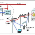 実験の概要図