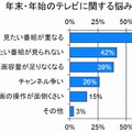 年末・年始のテレビに関する悩み