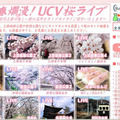 春爛漫！UCV桜ライブ