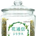 花粉対策ブレンドティーがエンハーブより限定発売