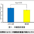 内臓脂肪重量