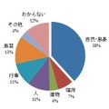 昔はあったが今は失われたことが惜しまれるものは何ですか？