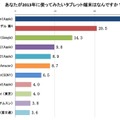 あなたが2013年に使ってみたいタブレット端末はなんですか？