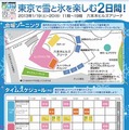 冬のスポーツ博覧会東京「TOKYO SNOW ＆ ICE 2013」（チラシ）