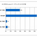 2013年のFacebookマーケティングにかける予算