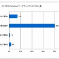 2013年のFacebookマーケティングにかける人員