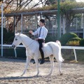 馬に親しむ日（12月開催時の様子）