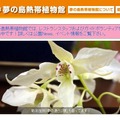 夢の島熱帯植物館（Webサイト）