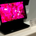 　ソニーの有機ELテレビについては、RBB TODAYでも報道済みだが、同社は「FINETECH JAPAN/Display 2007特集」での代表執行役副社長 井原勝美氏による講演(ダイジェスト版)を動画で公開している。