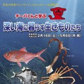 マリンサイエンスギャラリー「チーバくんと学ぶ 深い海に暮らす生きものたち」