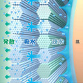 ドライアクセル構造図