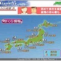 花見シーズン到来は観測史上2番目の早さに〜tenki.jpがさくら情報スタート