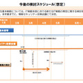 新たな基本戦略の今後の検討スケジュール（想定）